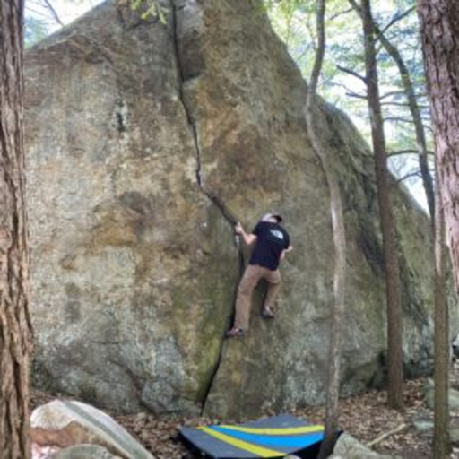 Profile photo for Alex Saito