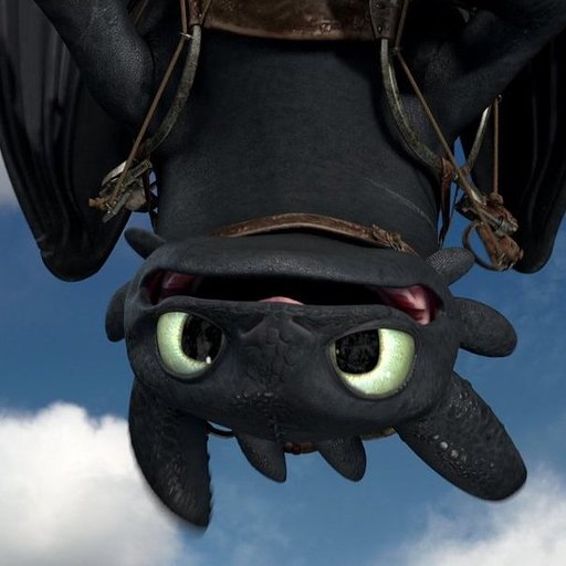 Profile photo for Toothless